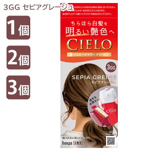VG wAJ[ EX N[ 3GG ZsAO[W  z[[ 򕔊Oi (CIELO) wAJ[N[ 