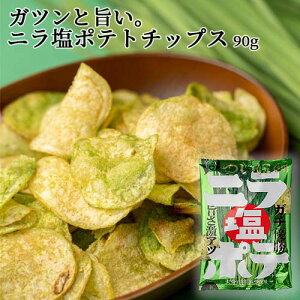 �啪���Y�ɂ�g�p �j�����|�e�g�`�b�v�X 90g �I���W�i���j���X�p�C�X ���Y �B�̌s���� �X�i�b�N�َq ����� ���܂� �r�[���̂����� Log Style