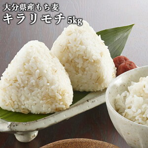 ���i�̂��тɂ��傢�����I �啪���Y������ �L�������` 5kg �G�� ���������͂� �唞 ���� �H���@�� ��-�O���J�� ���Y ��B�Y �Ɩ��p �V���t�@�[�� ������