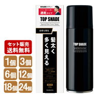 柳屋 トップシェード スピーディーヘアカバースプレー ラージサイズ 250g 薄毛対策増毛スプレー TopShade…