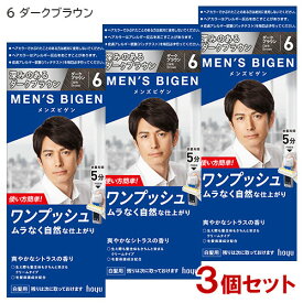 【3個セット】 メンズビゲン(MENS BIGEN) ワンプッシュ 6 ダークブラウン 白髪用(男性用白髪染めヘアカラー) ホーユー(hoyu) 【送料込】