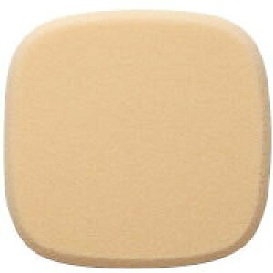 yIׂI}Ptz Jo[}[N t[XtBbgpX|W ( t@f[VX|WF covermark ) `O 296~`