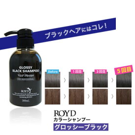 【あす楽】【メーカー公認正規品】 カラーシャンプー 【 グロッシーブラック 】 300ml ブライセス ロイド [ 黒 ブラック シャンプー 黒髪 暗髪 を維持したい方におすすめ コスプレ ]【 宅配便 発送商品 】