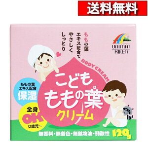 [ 2 Zbg ] ǂ̗tN[ 120g [4903361862798]  ̗t GLX qpN[ ێN[ Sg N[  q l j}bgP