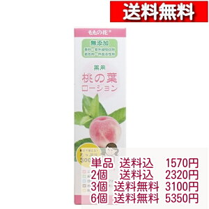 Iai p ̗t[V 300mLy1z[4901180019478] XL[V tFCX[V  򕔊Oi ϐ tGLX  畆ێ