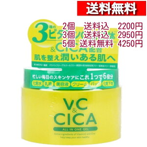 VCCICA I[CQ 220g `5 [4571212863098] VCI[CQ GCWOPA I[CWF nbs[o[X 3ނ̃r^~CU