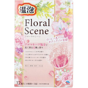 A t[V[ 12 [4901080213310]  t[uh ~U [ [Y [^X A}Y_ A[X