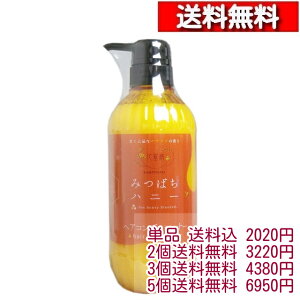 tFjbNX Ԗ ݂΂nj[ wARfBVi[ 500mLy1{`z[4976551007569] 邨 n`~c AKIC