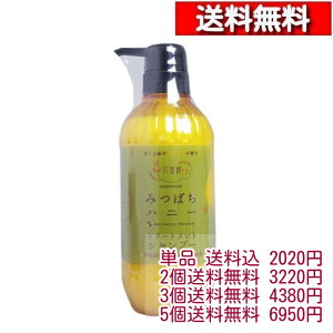 tFjbNX Ԗ ݂΂ nj[ g[ggVv[ 500mLy1{`z[4976551108778] ݂΂Vv[ 邨 n`~c AKIC nj[ Vv[ tFjbNX [ 