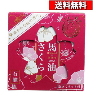 [ 5 Zbg ] nΌ 100g Aălbgt [4976551103889]   ̍ zԃGLX nƂ̃R{ Ό ΌtFjbNX