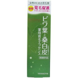 [ 3本 セット ] 柳屋 リフルール ビワ葉と桑白皮 薬用育毛エッセンス 120ml [4903018184044][ 送料無料 ] 抜け毛対策 発毛促進 育毛 養毛 センブリ 毛根 血行改善 産後の脱毛 フケ かゆみ 無香料 防腐剤フリー