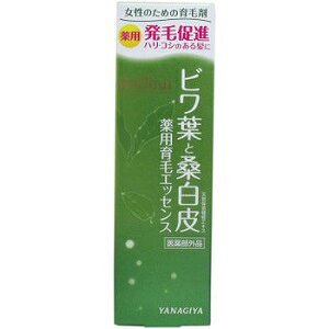 [ 3{ Zbg ]  t[ rtƌK pуGbZX 120ml [4903018184044][  ] ё΍ ёi  { Zu э sP Y̒E tP   h