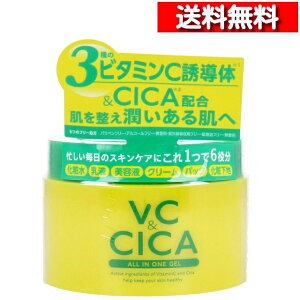 [ Pi  ] VCCICA I[CQ 220g [4571212863098] VCI[CQ GCWOPA I[CWF nbs[o[X 3ނ̃r^~CU