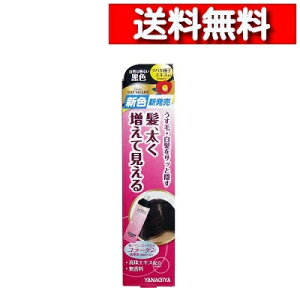 [ Pi  ]  fB[X gbvVF[h Xv[EBbO RȖ邢F 100g [4903018133646-SP]  J[Xv[ g p ё΍  уXv[ {[Abv 