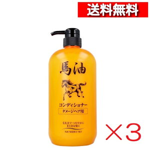 [ 3{ Zbg ] Wu nRfBVi[ _[WwAp 1000mL [4964653102190] ێ Ƃ 邨  CXg n _[WwA o[ 