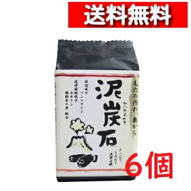 [在庫限り] 泥炭石 洗顔石鹸 100g 6個 洗顔 洗顔石けん 炭 パパイン潤う さっぱり 洗顔せっけん 粘土成分 ベントナイト ペリカン石鹸 [4976631649191]