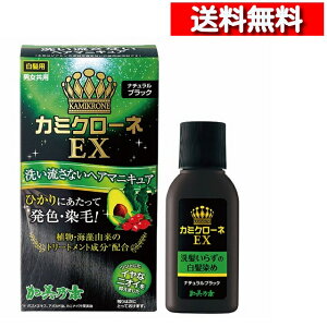 [ Pi  ] J~N[lEX i`ubN 80ml [4987046820136] wA}jLA ŔF Z  wAJ[ Tf{ kaminomoto