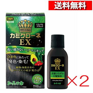 y2zJ~N[lEX i`ubN 80ml [4987046820136] wA}jLA ŔF Z  wAJ[ Tf{ kaminomoto