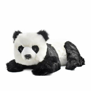 nT WCAgp_iRj W40×H25×D64cm(j HANSA 39Vbv TL[ RXflbg