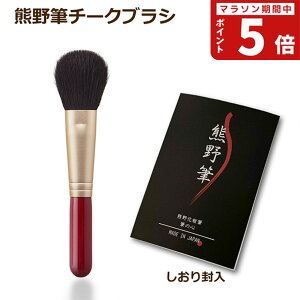 yFM CNuVzF쉻ϕM M̐S `[NuViەjԎ Rr100 { (VR M ە F̕M قg a v[g Mtg uC_   lC R~