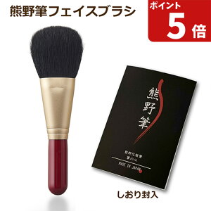 FM CNuV M̐S tFCXuVipE_[uVj Rr100 { (F쉻ϕM VRуtFCXuV pE_[t@f[V pE_[ a v[g Mtg u