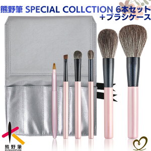 yWSRXzFMCNuV SPECIAL COLLCTION 6{Zbg{uVP[X (VR FMZbg CNuVZbg tFCXpE_[ v[g a  bsO  
