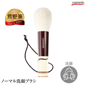 FM m[}uVi炩߁jRr100 {yuV VR lC CNuV M F쉻ϕM a v[g Mtg  p ь   A