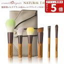 ブラシケース付き【コスメ堂 × 晃祐堂】 熊野筆 メイクブラシ 6本 + ケース セット 日本製【パウダーブラシ ハイライトブラシ チークブラシ ファンデーションブラシ アイシャドウブラシ 幅広アイブロウブラシ ポーチ】メイクブラシセット 高級 熊野化粧筆 就職祝 母の日