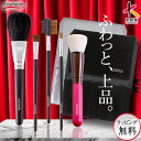 【RSL】46%OFF【熊野筆 メイクブラシ セット 5本+ケース付き】スターターセットプラス（日本製 天然毛 メイクブラシセット フェイスブラシ チークブラシ アイシャドウブラシ メイクブラシケース 誕生日 プレゼント ギフト 男性 メンズメイク 女性 携帯 収納 熊野化粧筆）