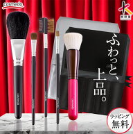 【RSL】熊野筆 メイクブラシ セット 5本（ケース付き）スターターセットプラス 日本製（天然毛 メイクブ…