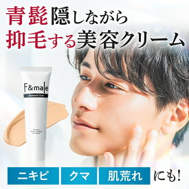 【記念特価SALE中! 】 髭 隠しながら 抑毛 する 美容液 メンズ コンシーラー BBクリーム ニキビ跡 クマ シミ 青髭 消し ファンドメール ノンビアードクリーム