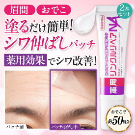 【 シワ気になる所どこでもスピードケア パック 】 眉間 おでこ 眉間のシワ おでこ おでこのシワ 目尻の小じわ シワ改善 クリーム パッチ シワ しわ取り シート レチノール ナイアシンアミド 薬用リンクルリペアNA 2本