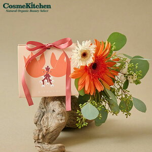 ygiovanniz{fBXNu mini-twin HA | Mtg XNu {fBXNu v[g ~jTCY Zbg{fBPA XyVPA 