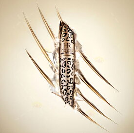 HELENA RUBINSTEIN ヘレナルビンスタイン ラッシュ クイーン フェリン ブラック WP 01 ディープブラック ゴージャスなボリューム ウォータープルーフ マスカラ アイメイク ブラック 黒 y2k 平成 ブルべ ヘレナ プール 海 海外コスメ おすすめ オススメ