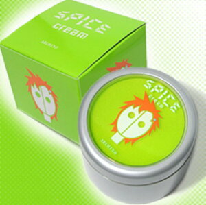 y500~OFFN[|2923:59܂ŁIzA~m ARIMINO XpCXN[ SPICE CREAM n[hbNX 100g X^CObNX ~Mtg