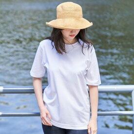 【P5倍★10日 0時～26H限定！】Tシャツ　シーアイランドコットン レディースTシャツ stb20 冬ギフト