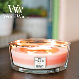 y500~OFFN[|9܂ŁIzEbhEBbN Wood Wick gW[n[XEBbN Lh ~Mtg