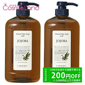 y500~OFFN[|9܂ŁIzyZbgzx Lebel i` wA\[v EBY 1000mL JO (zzo) 2Zbg Vv[ ~Mtg