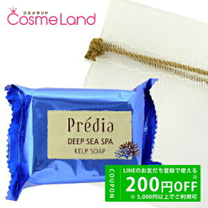 y500~OFFN[|1923:59܂ŁIzR[Z[ vfBA Predia fB[vV[ Xp Pv\[v Aălbgt 75g Ό ΂ ~Mtg