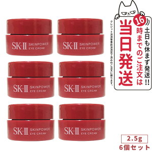y2024N9EKizSK2 GXP[c[ XLp[ AC N[ 2.5g sk-2 skii/ SK-II se }bNXt@N^[ ACN[ ێ ϐ RX iڂƗpN[j 1/2/3/6 
