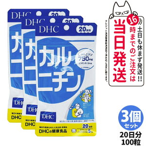 【3個セット 賞味期限2028/03】ディーエイチシー DHC カルニチン 20日分 100粒 サプリメント ダイエット 健康食品 健康サプリ 健康応援 マルチサプリ 送料無料
