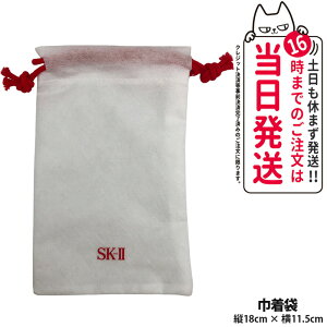 SK-II SK2 �G�X�P�[�c�[ �R�X���o�b�N 18×11.5cm �~�j�|�[�` ���σo�b�N ���ϕi�|�[�` �������� �~�j �R���p�N�g ���s�o�b�N �����^�� ������� ���b�s���O ��������