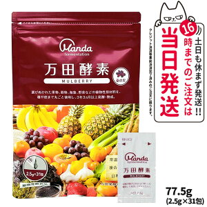 yIׂzcyf X^_[h ^Cv 77.5g (2.5g×31) yHi NHi yfTv  ʕ  C yTv h{⏕ Ki 