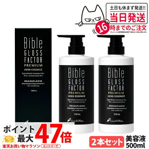 y2{ZbgEeʁzoCuOXt@N^[ v~A n[uGbZX et 500ml Bible GLOSS FACTOR PREMIUM 