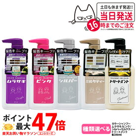【組合せ自由・2個セット】pluseau プリュスオー カラーシャンプー 全4カラー ムラサキ / ピンク / シルバー / ミルクティー 280ml ヘアカラー plus eau ダメージ 補修 トリートメント for color カラーキープ 送料無料