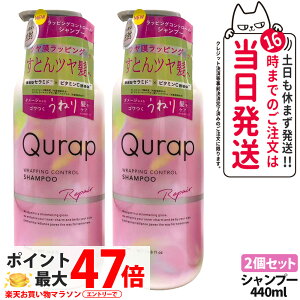 �y2�Z�b�g�z�L�����b�v ���b�s���O�R���g���[���V�����v�[ 440ml �{�� ��C �w�A�P�A �_���[�W �����_���[�W �ێ� �r�^�~��C�U���� QURAP ��������