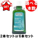 【ポイント5倍 20日20時〜4H限定】ヴェレダ WELEDA オーガニック ヘアトニック 100ml 選べるセット 【2本 or 6本】 海外仕様パッケージ 【まとめ買い】