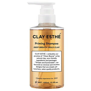 r[eB[GNXyGX NCGXe vC~OVv[ S[hNC 400ml ( B-ex CLAY ESTHE wAPA PA NWO e e@ Tꔄi )