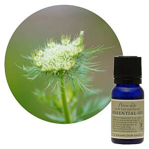 Flavor lifeit[o[Ctj LbgV[h 10ml ( GbZVIC A}IC  )