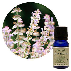 Flavor lifeit[o[Ctj N[Z[W 10ml ( GbZVIC A}IC  )